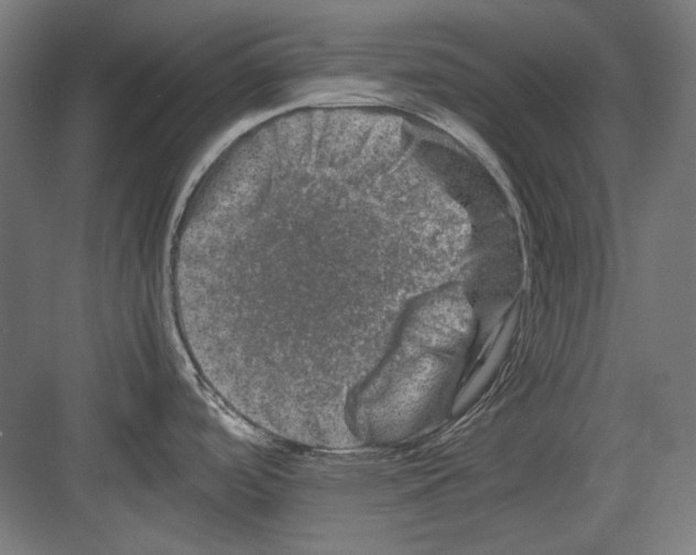 X0000082171488200702162248