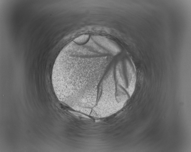 X0000082171489200702162247