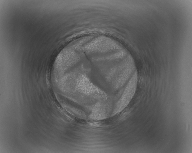 X0000082171490200702162247