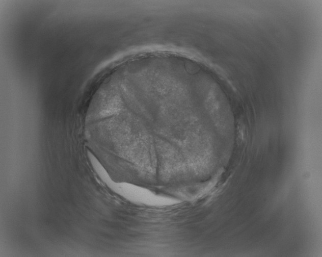 X0000082171494200702162247