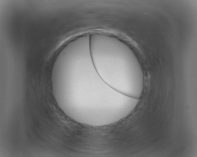 X0000082171496200702162247