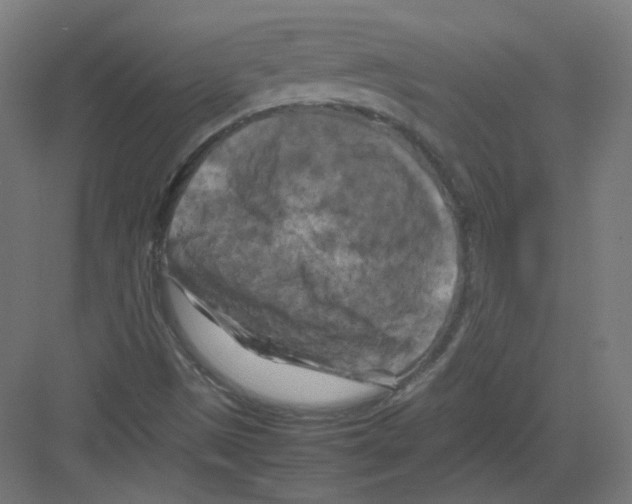 X0000082171497200702162247