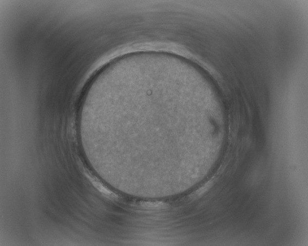 X0000082171498200702162247