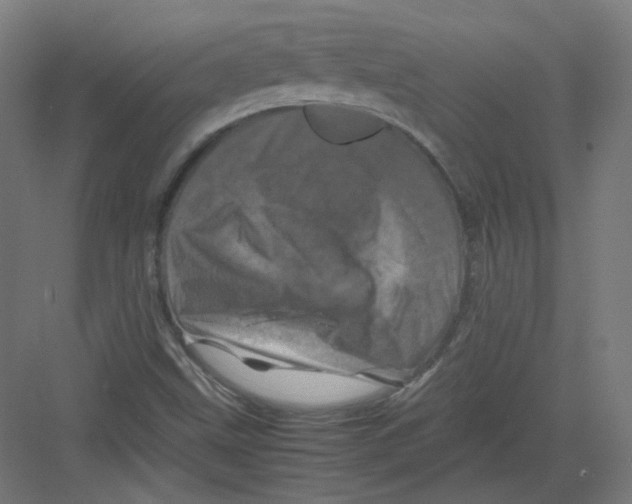 X0000082171499200702162247