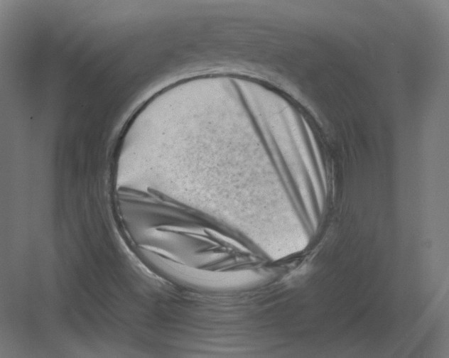 X0000082171500200702162247