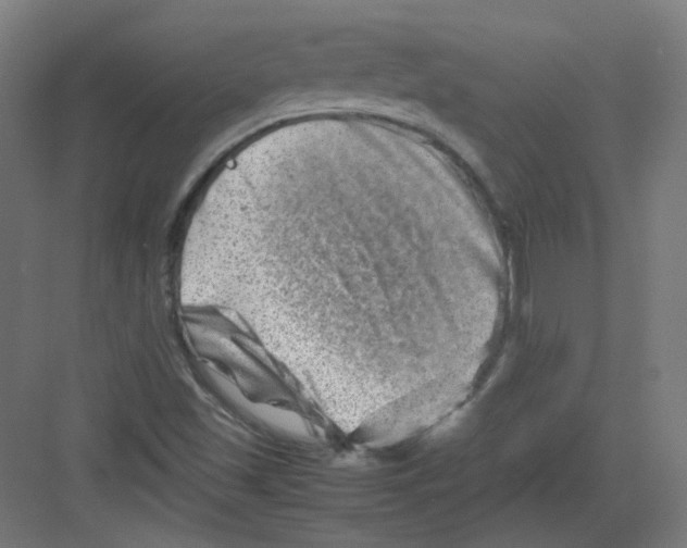 X0000082171501200702162247