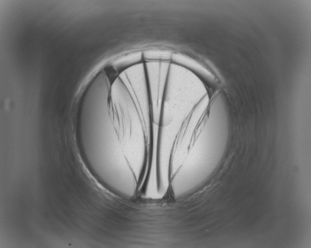 X0000082171504200702162247