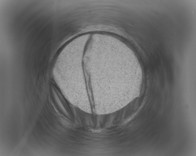 X0000082171505200702162247