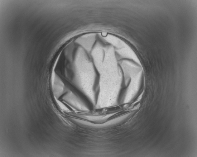 X0000082171507200702162247