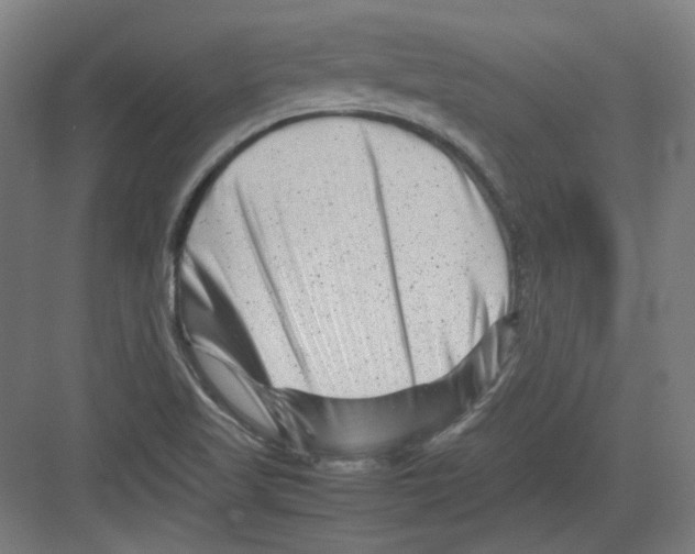 X0000082171509200702162247