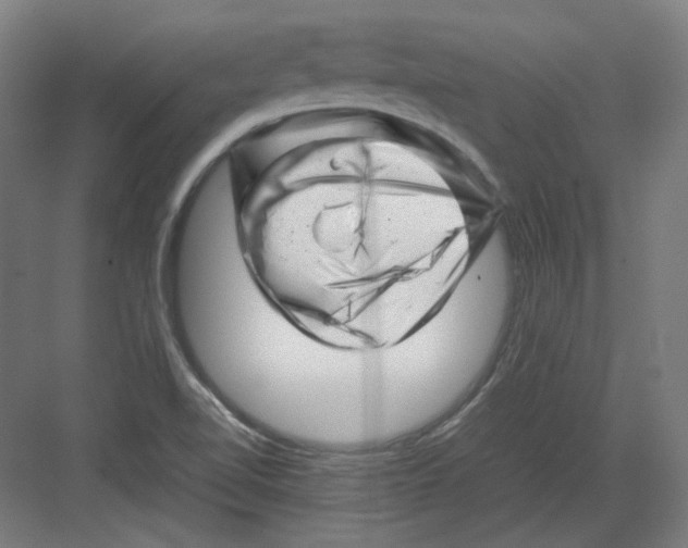 X0000082171510200702162247