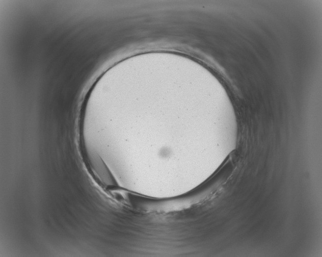 X0000082171512200702162247