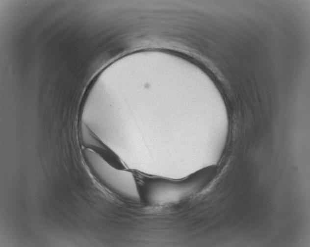 X0000082171513200702162247