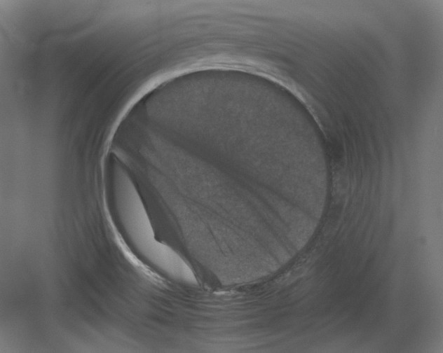 X0000082171515200702162247