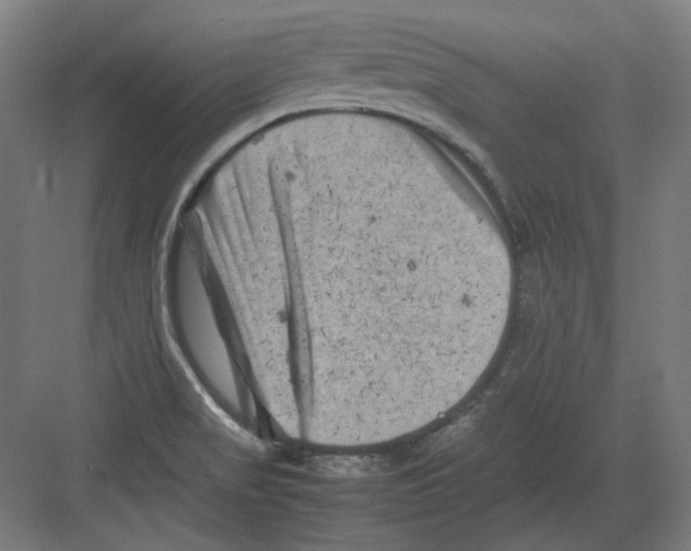 X0000082171517200702162247