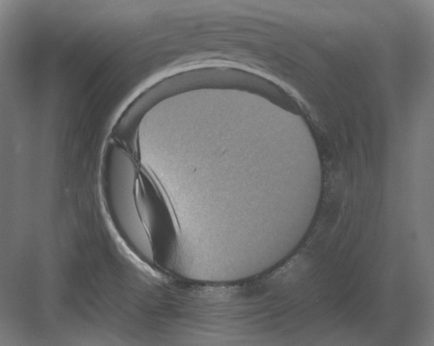 X0000082171518200702162247