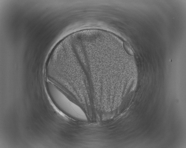 X0000082171519200702162247