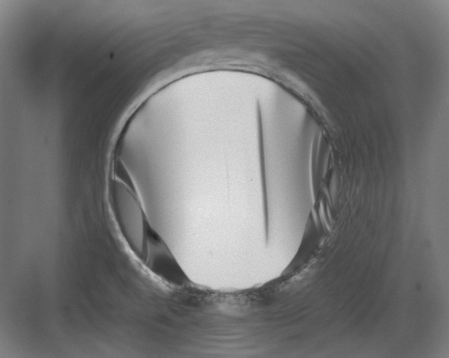 X0000082171520200702162247