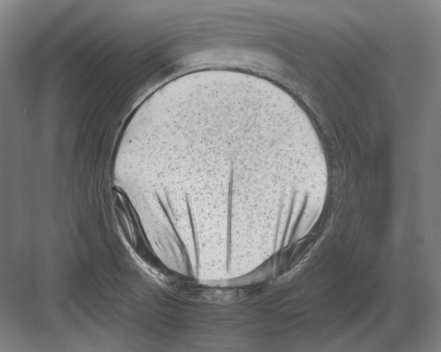 X0000082171521200702162247