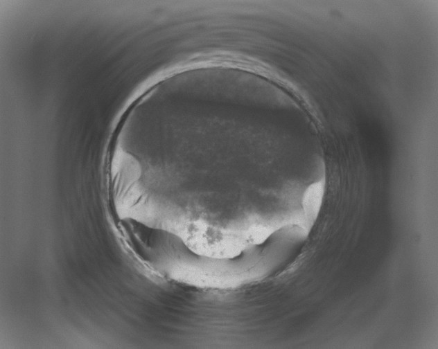 X0000082171522200702162248