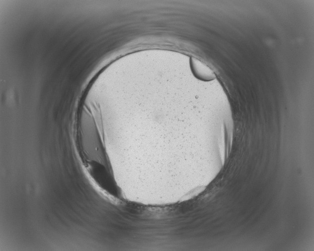 X0000082171523200702162248