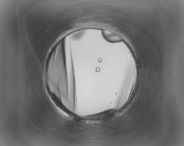 X0000082171525200702162248