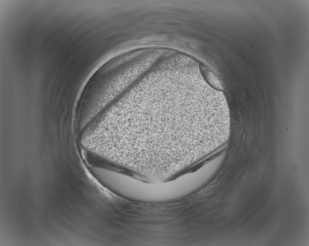 X0000082171527200702162248