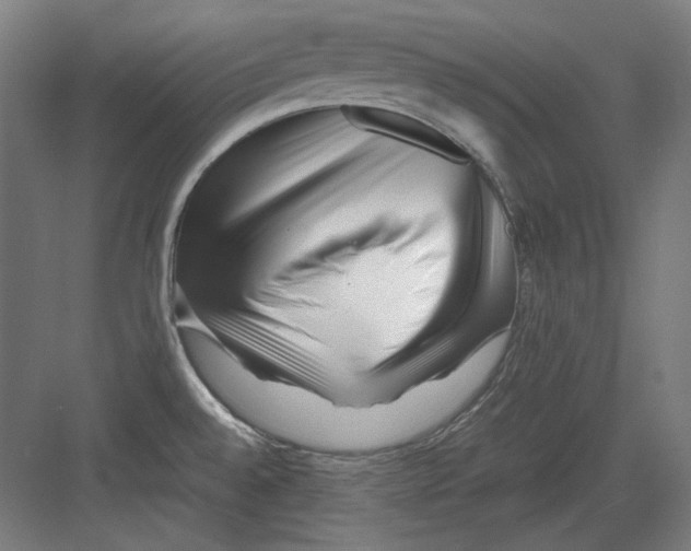 X0000082171528200702162248