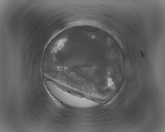 X0000082171529200702162248