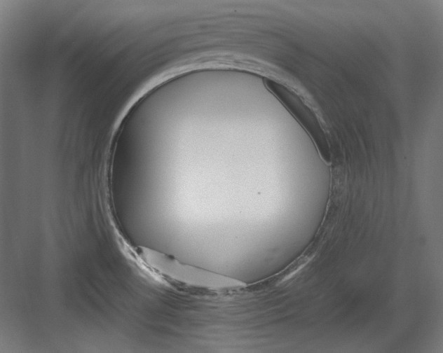 X0000082171530200702162248