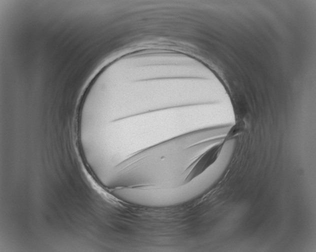 X0000082171531200702162248