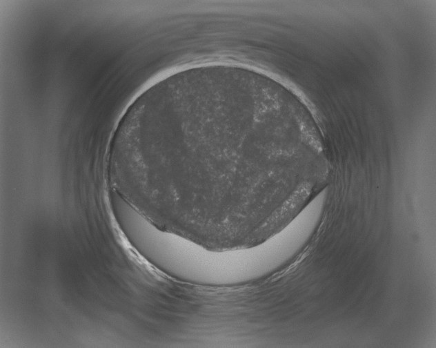 X0000082171534200702162248