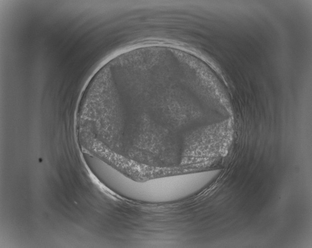 X0000082171535200702162248