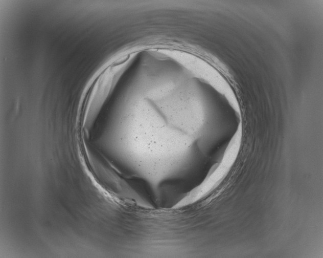 X0000082171536200702162248