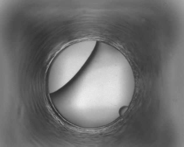 X0000082180002200701191104