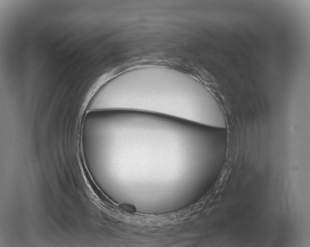 X0000082180003200701191104