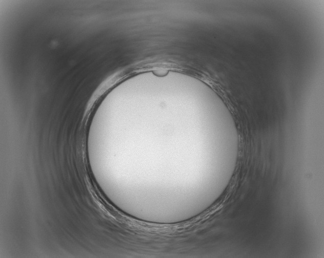 X0000082180004200701191104