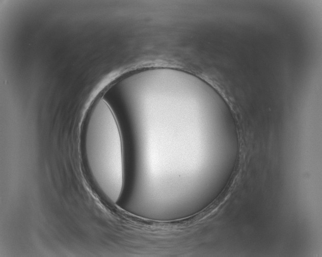 X0000082180008200701191104