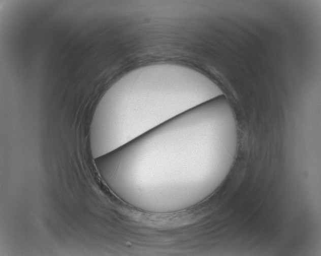 X0000082180026200701191104