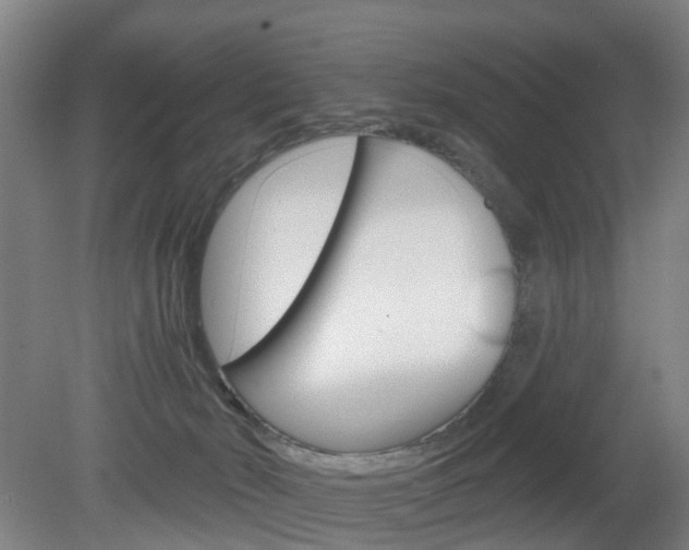 X0000082180030200701191104