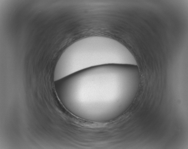 X0000082180032200701191104