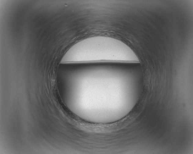 X0000082180040200701191104