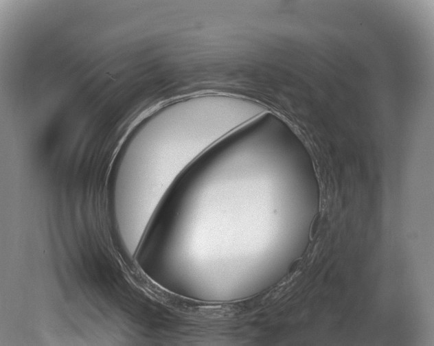 X0000082180050200701191103