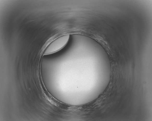 X0000082180051200701191103