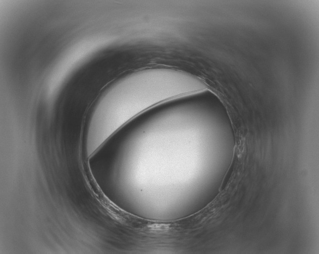 X0000082180052200701191103