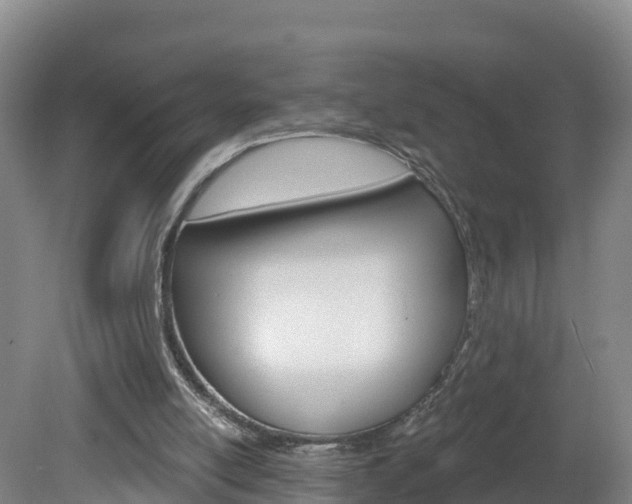 X0000082180054200701191103