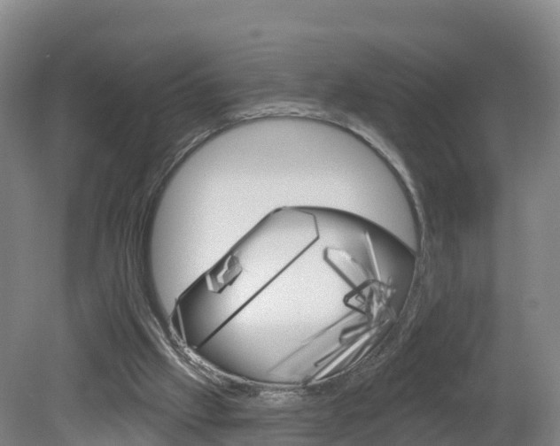 X0000082180057200701191103