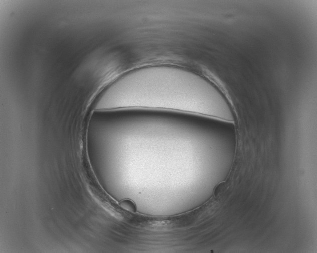 X0000082180059200701191103