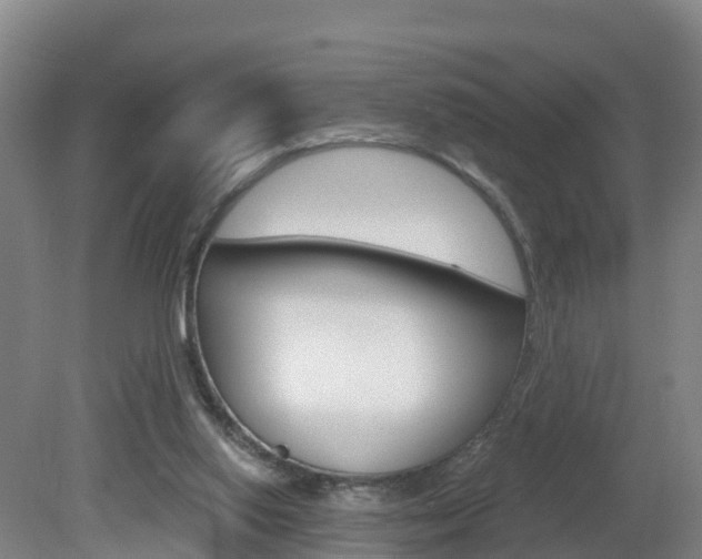 X0000082180062200701191103