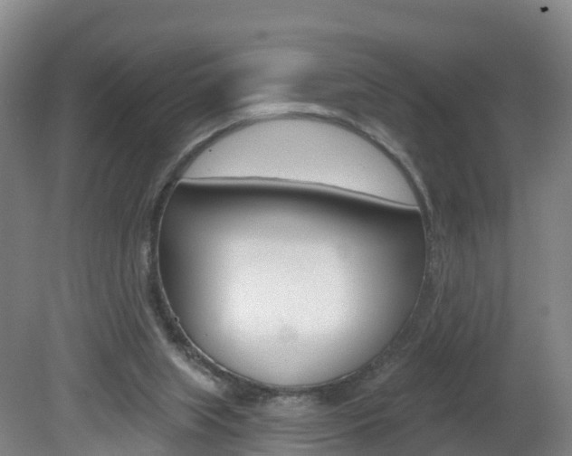X0000082180063200701191103